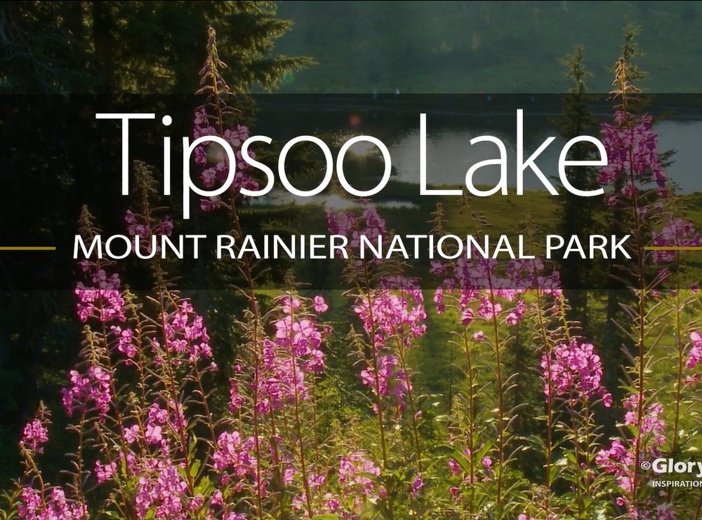 Tipsoo Lake - Mount Rainier - GloryScapes™​
