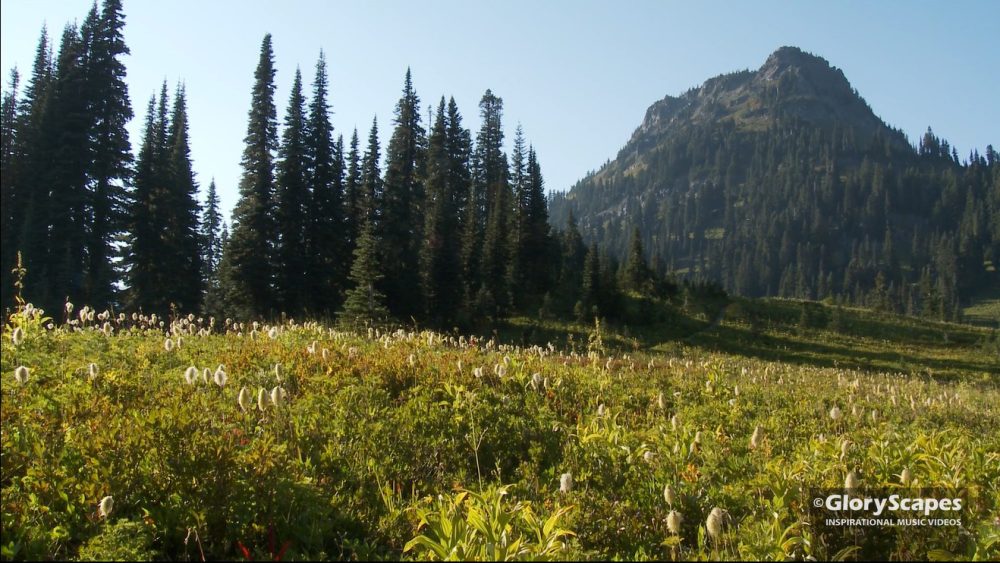 Tipsoo Lake - Mount Rainier - GloryScapes™​ - Image 7